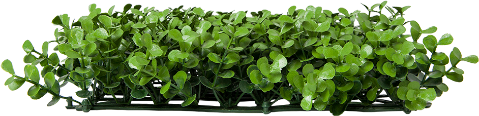 Small Boxwood Artificial Hedge - Leaf Vegetable (1000x1000), Png Download