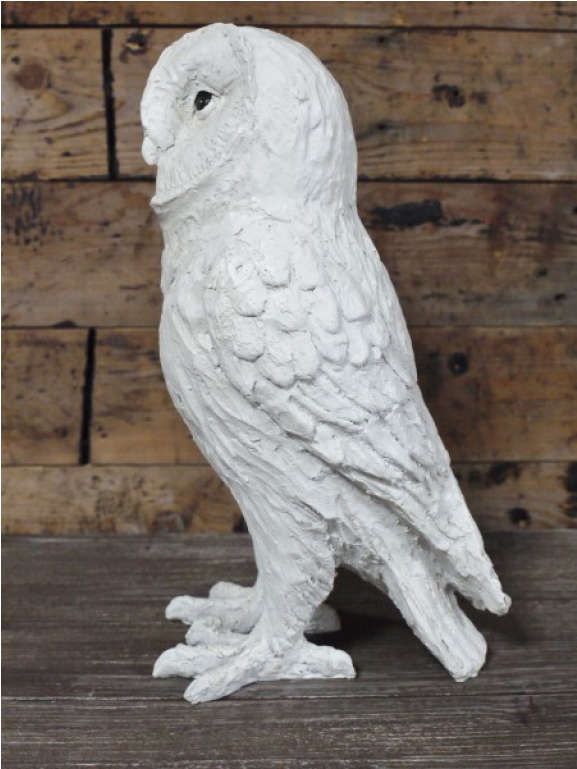 White Owl - Cockatoo (1152x768), Png Download