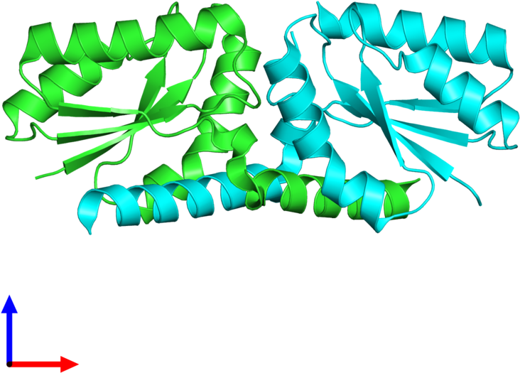 Pdb 3lyh Coloured By Chain And Viewed From The Front - Graphic Design (732x525), Png Download
