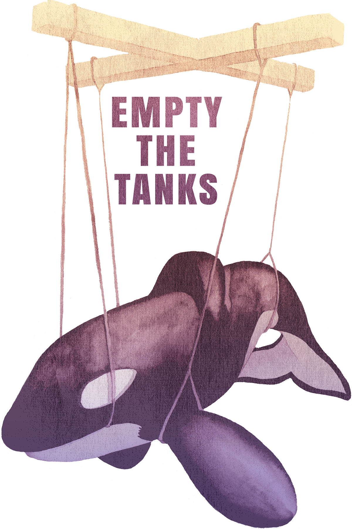 Sign Up To Join The Conversation - Killer Whale (1200x1800), Png Download