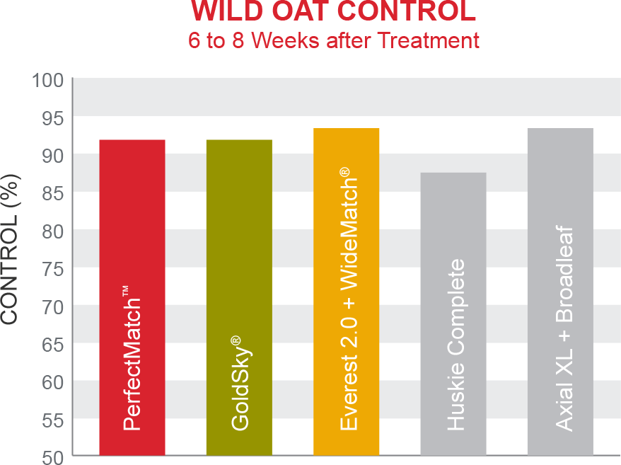 Canada Thistle Control - Carmine (878x657), Png Download