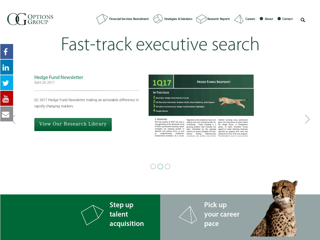 Website History - Domestic Short-haired Cat (1024x1474), Png Download