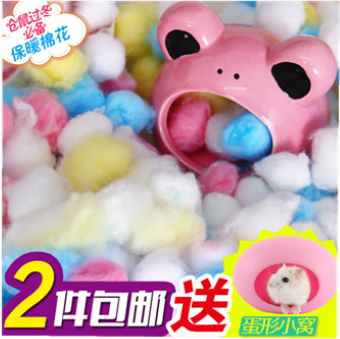 Hamster Cotton Ball Winter Color Quilts Gold Bear Cotton - Hamster (800x800), Png Download