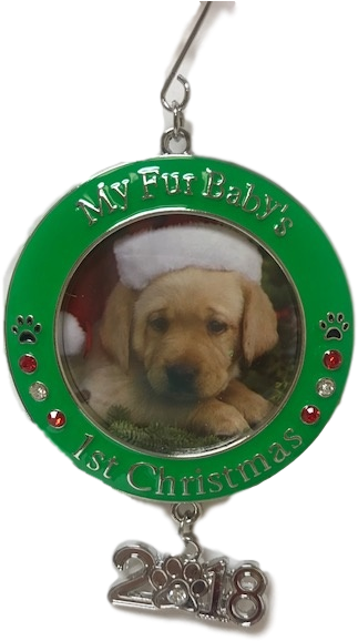 Pet's First Christmas - Dachshund (480x640), Png Download