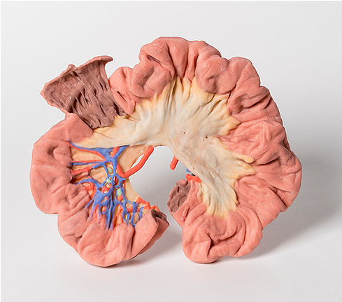 Skip To The End Of The Images Gallery - Diagram (700x700), Png Download