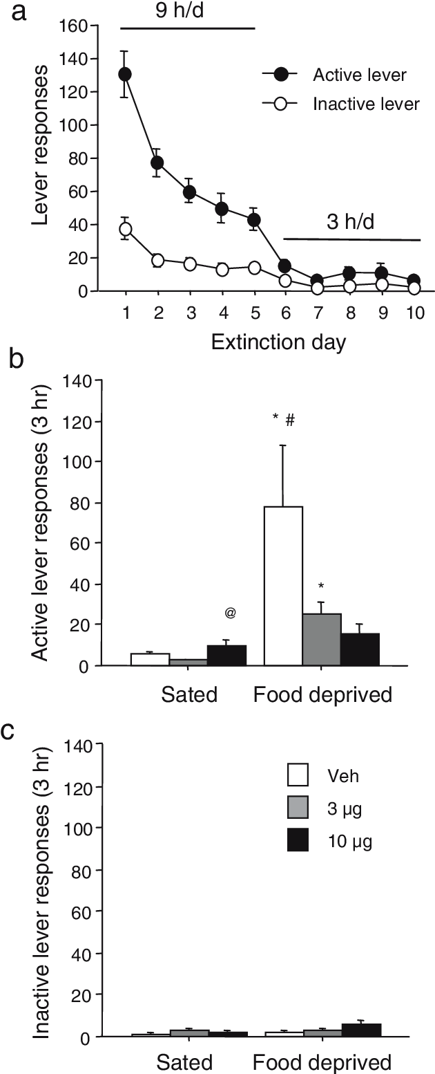 Extinction And Reinstatement Of Heroin Seeking - Diagram (630x1563), Png Download