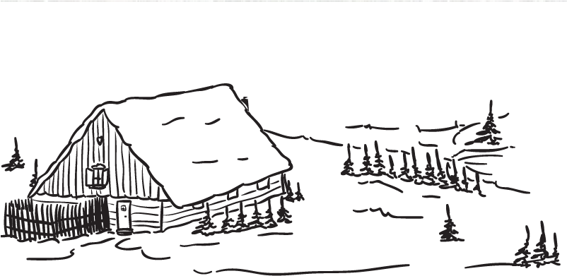 801 X 492 0 - Cartoon (801x492), Png Download