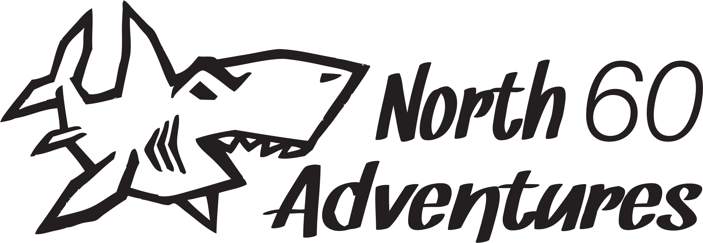 Scuba Diving, Shark Snorkeling And Wilderness Photography - Poster (2339x846), Png Download