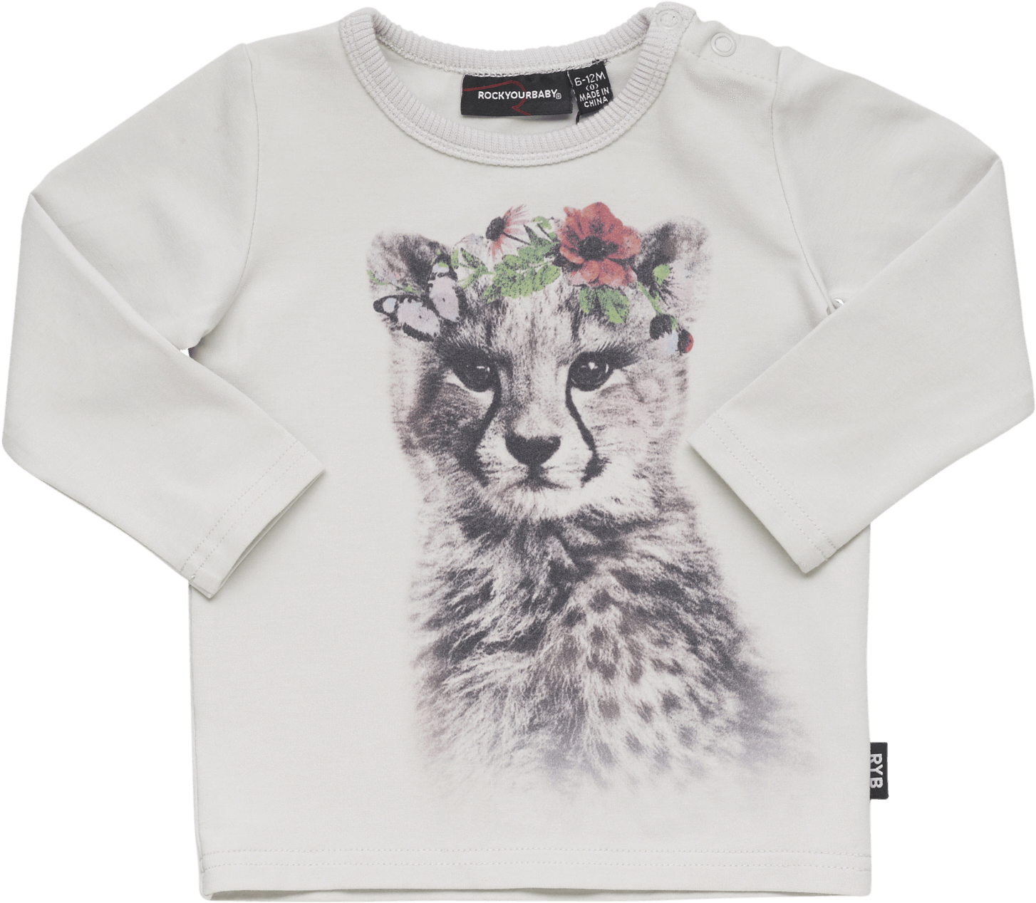 Cheetah (1651x1651), Png Download