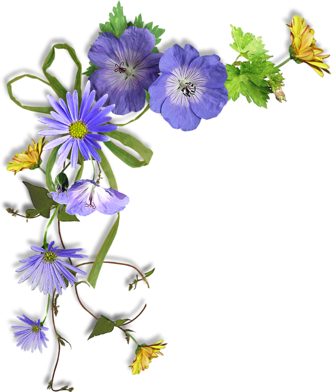 Coins Bordures Photo Corners, Xmas Wreaths, Flower - Purple Flower Corner Png (676x800), Png Download
