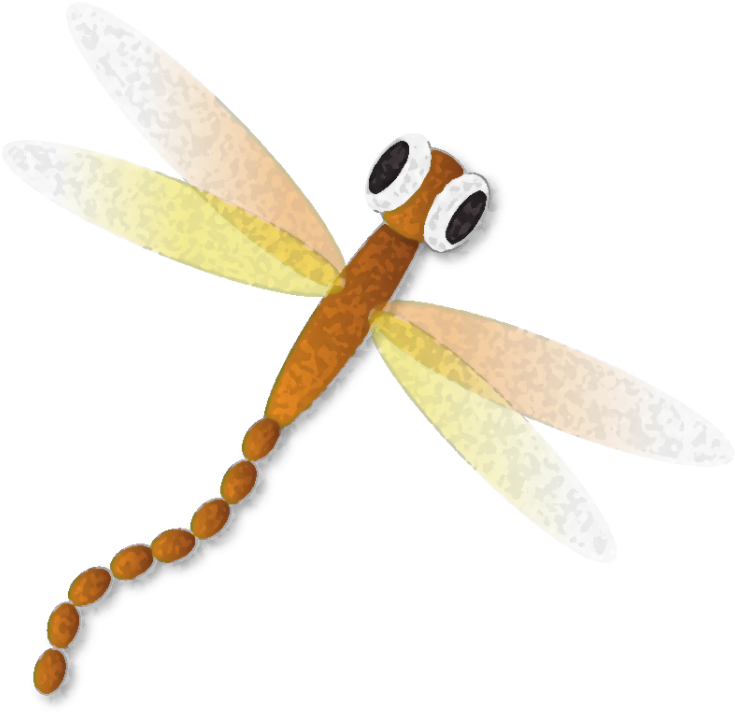 $500 - - Net-winged Insects (800x782), Png Download