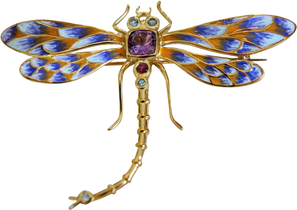 Vintage Enamelled Dragon Fly Brooch/ Pendant - Dragonfly (969x969), Png Download