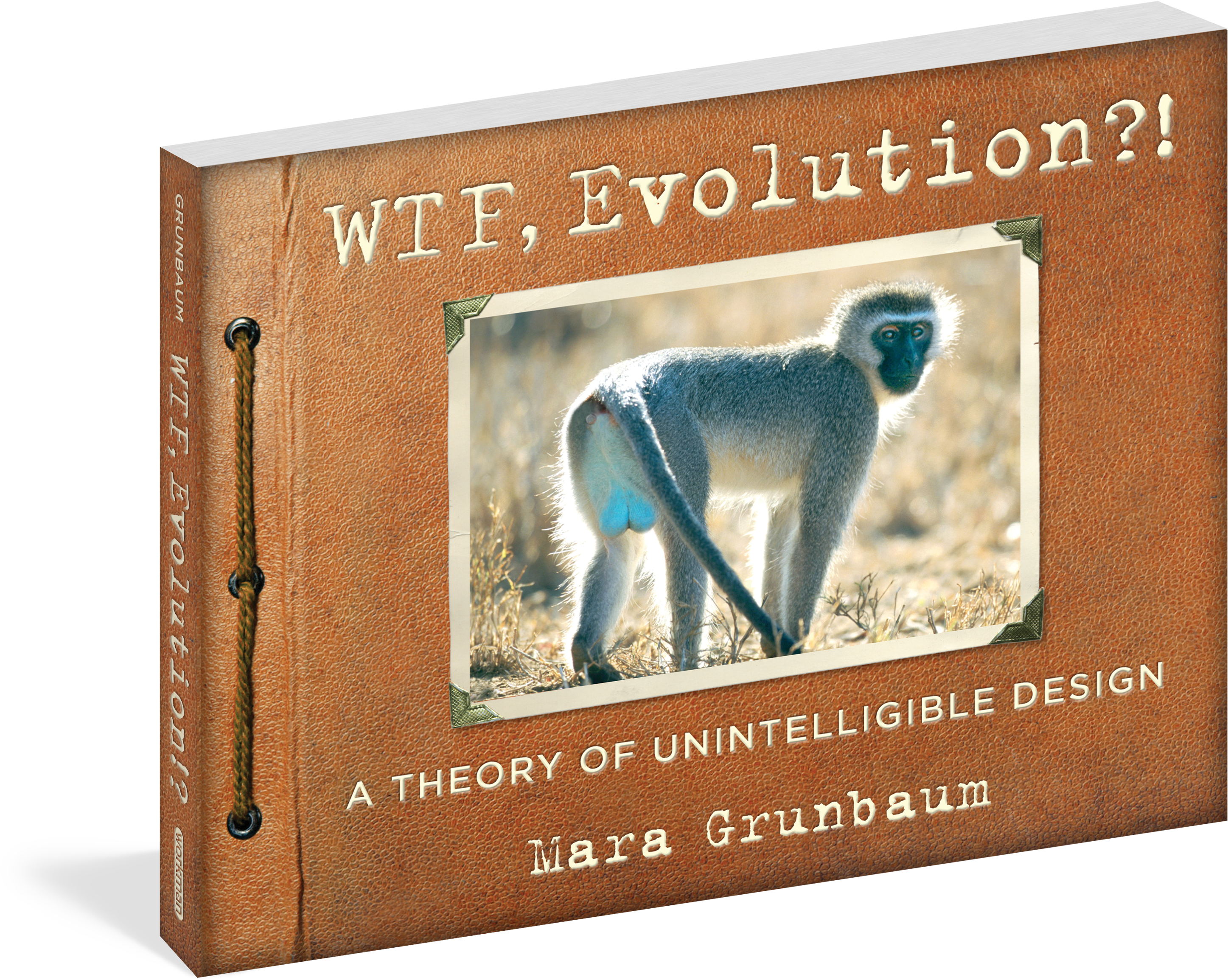 Wtf, Evolution?! A Theory Of Unintelligible Design (3055x2400), Png Download