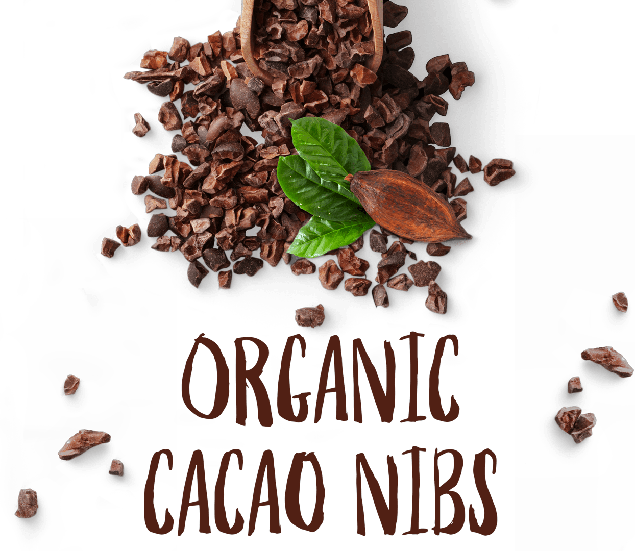 Download Organic Cacao Nibs Cacao Nibs PNG Image with No Background