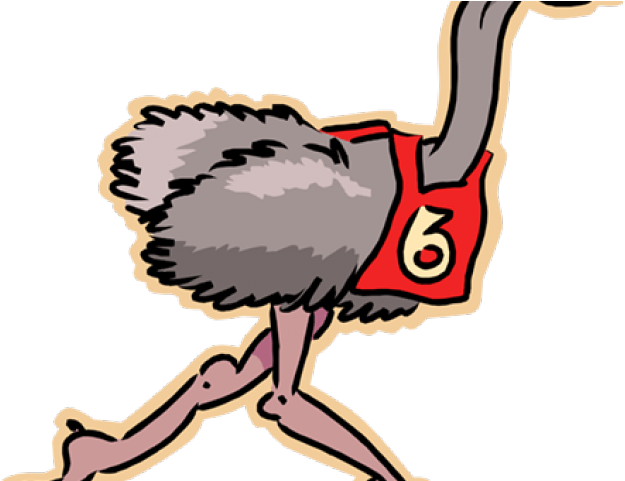 Emu Clipart Run - Emus Playing Football Cartoon (640x480), Png Download
