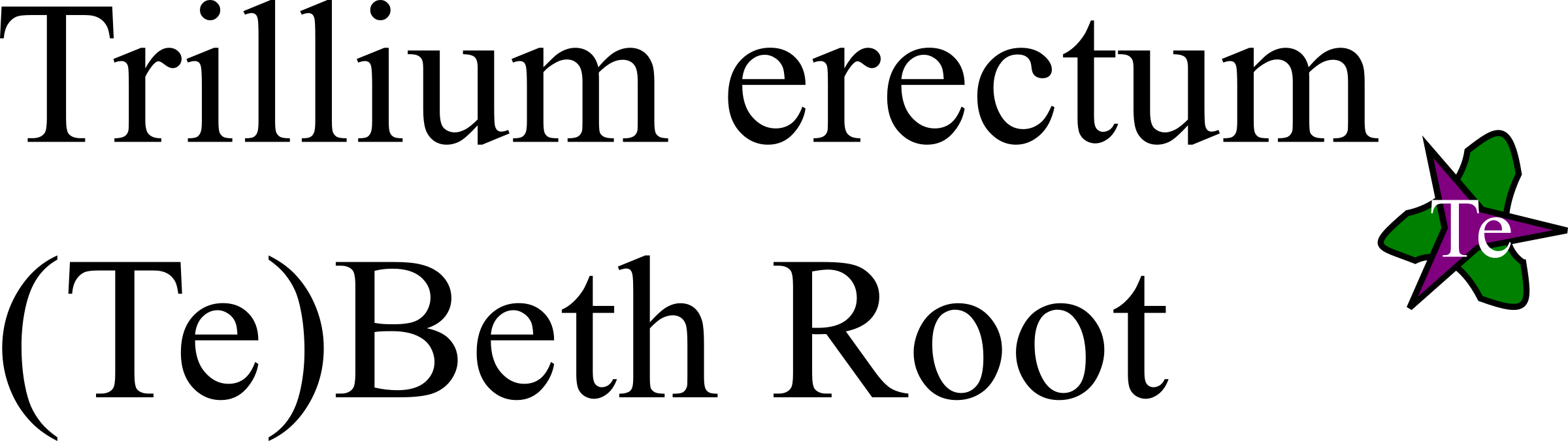 Big Image - Oval (2400x676), Png Download