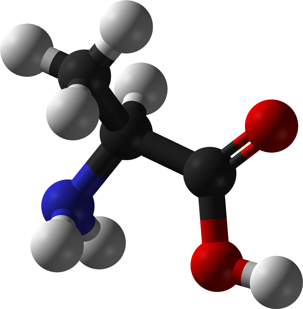 L Alanine 3d Balls - Cd Spectrum Of Enantiomers (1079x1100), Png Download