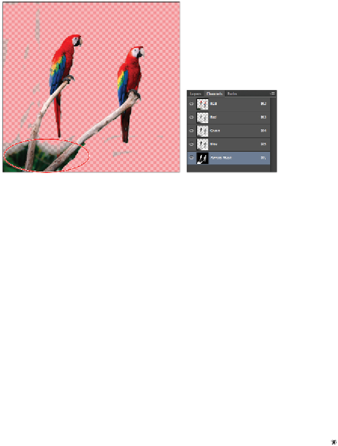 Macaw (672x887), Png Download