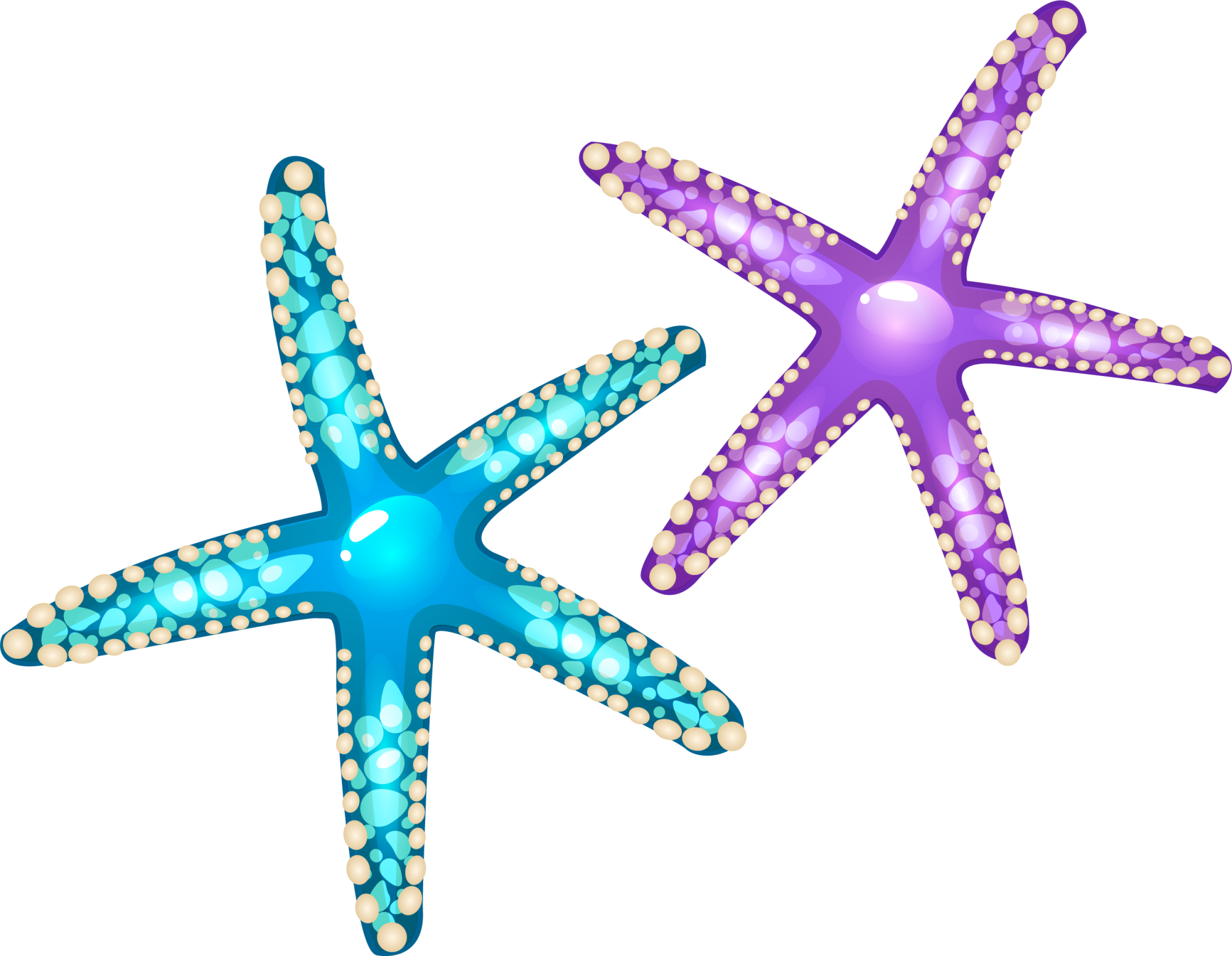 Starfish Euclidean Vector Seashell - Purple Starfish Png (2000x1551), Png Download