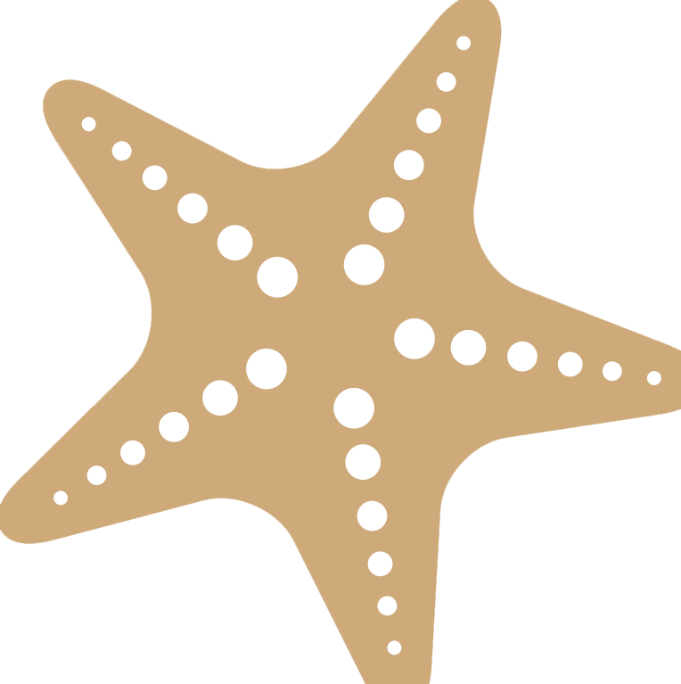 Starfish Png Free Download - Star Fish Silhouette (764x767), Png Download