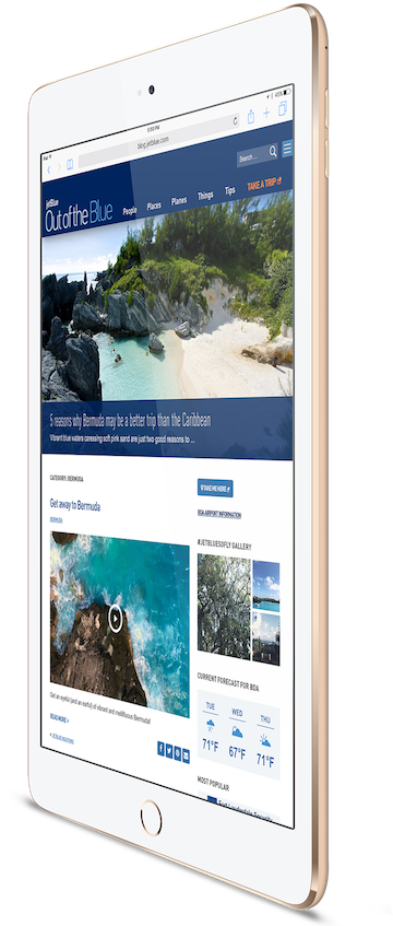 Branded Travel Guides & Local Flavor - Smartphone (480x854), Png Download