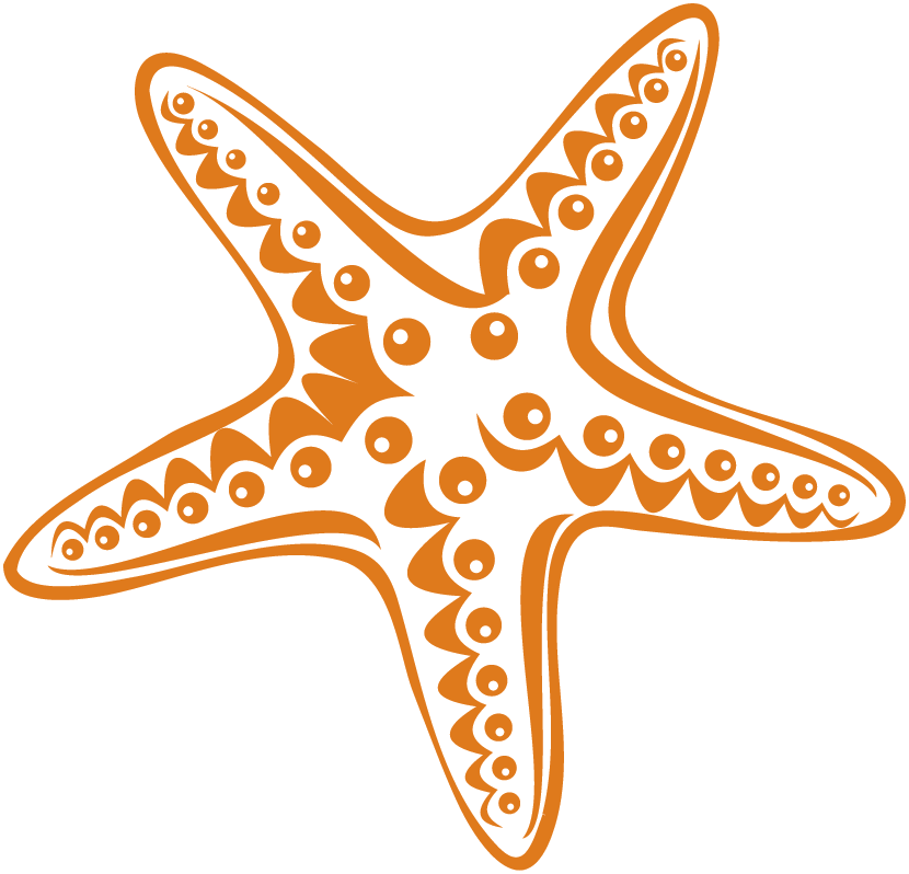 Special Offers - Starfish (830x798), Png Download
