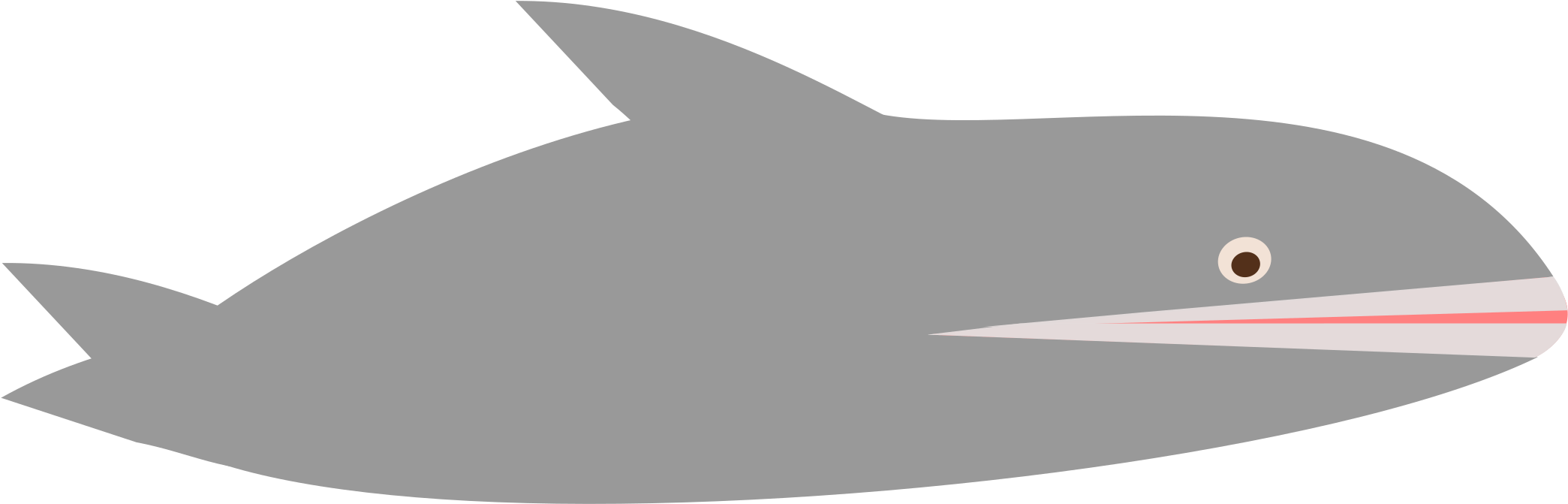 Happy Whale Png - Great White Shark (2400x1800), Png Download