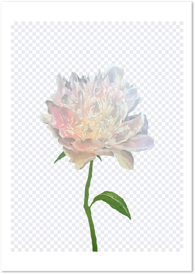 Wild Wild Flower (1000x1000), Png Download