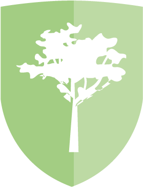 Cool Earth Has Protected Over Nine Hundred Thousand - Tree (600x570), Png Download