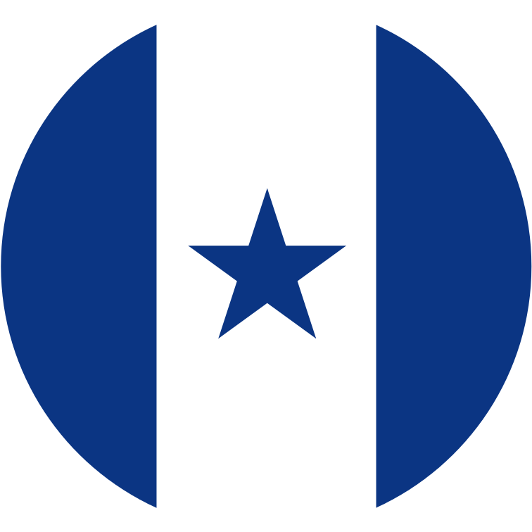 Insígnia Dos Aviões Militares Da Força Aérea Das Honduras - Symbols For Sovereignty (775x768), Png Download