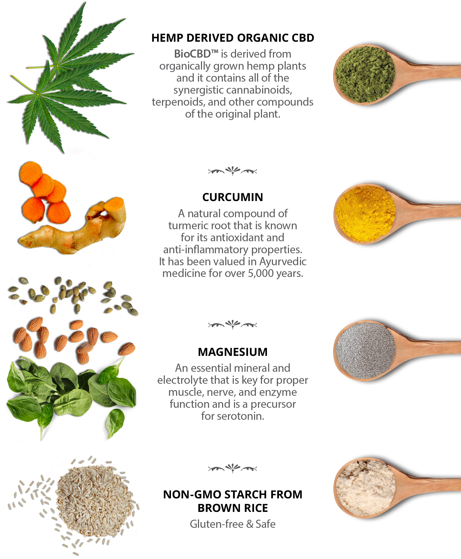 Biocbd ™ Total Body Care Cbd Capsules - Paddle (1536x1920), Png Download