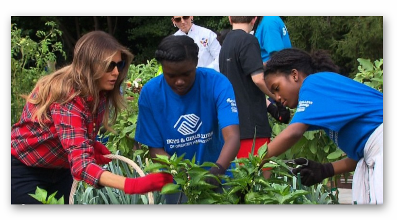 Ashampoo Snap - Melania Trump White House Garden (830x452), Png Download