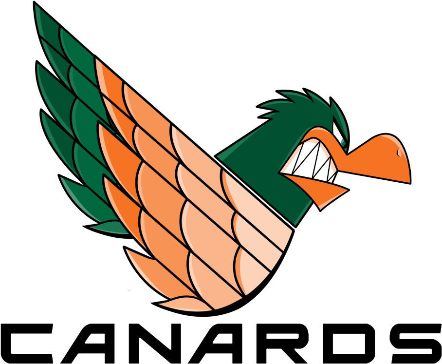 Welcome The Louisville Canards - Duck (1080x797), Png Download