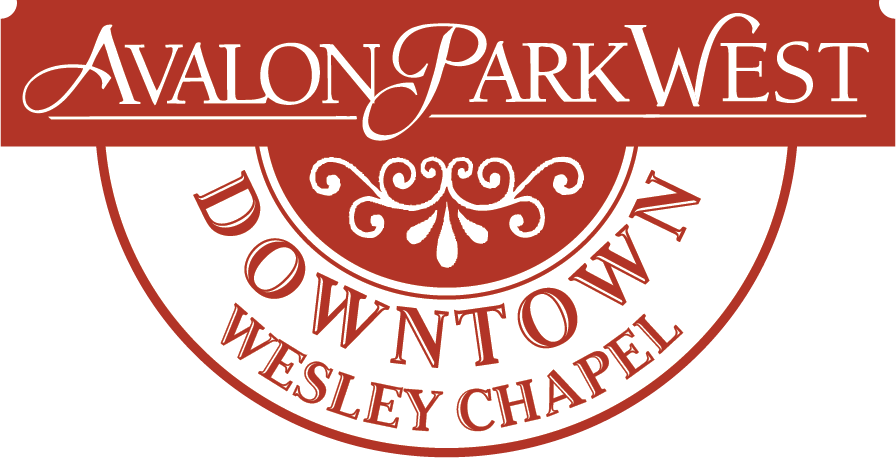 Avalon Park West To Host Jack Frost 5k Saturday, January - Circle (896x458), Png Download