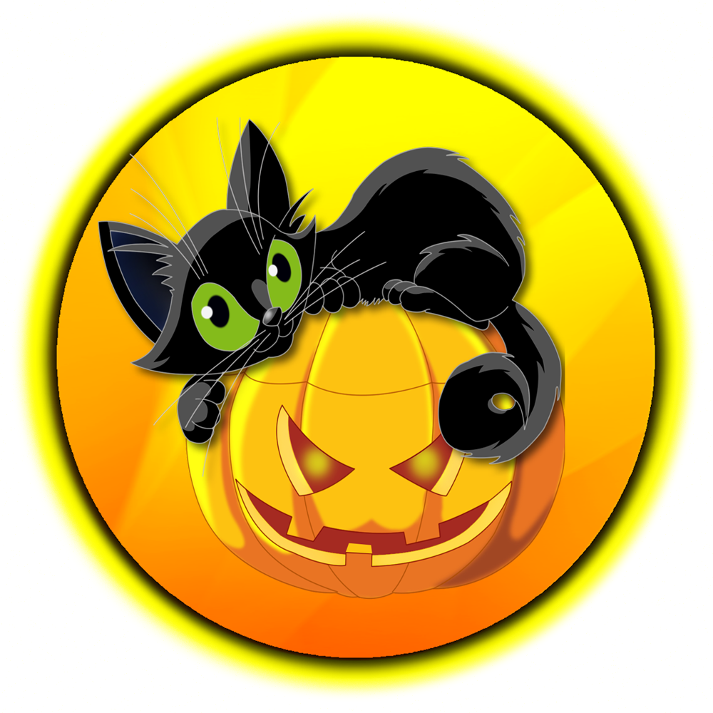 Halloween Cat And Pumpkin (1000x1000), Png Download