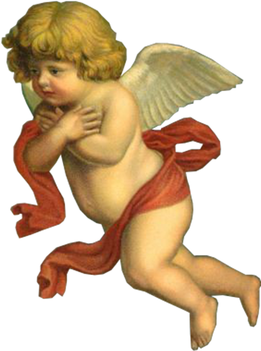 Image Result For Transparent Angels Cherubs - Cherub Transparent (538x800), Png Download