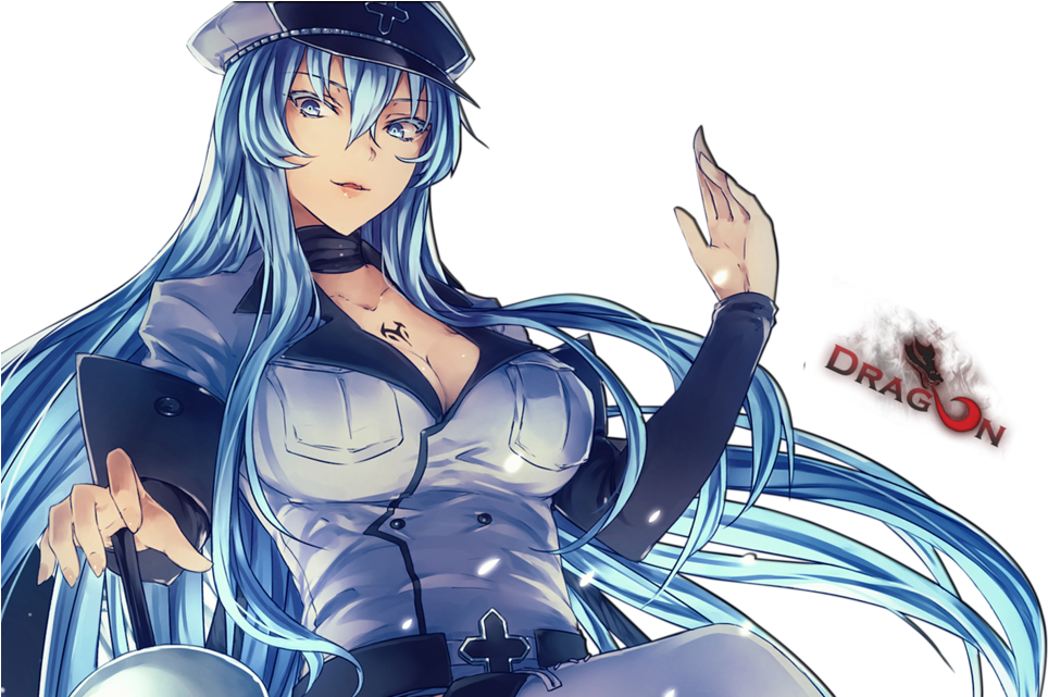 Akame Ga Kill Ice Girl (1024x640), Png Download