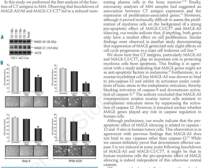 Silencing Of Ct Genes Mage A3 Or Mage C1/ct7 Results - Document (850x707), Png Download