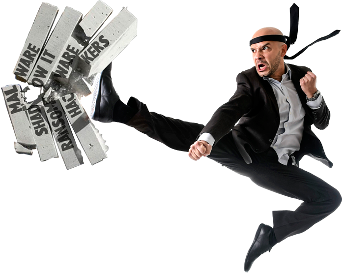 Defend Yourself From Cyberattack Train Your Employees - Kung Fu Business (700x557), Png Download