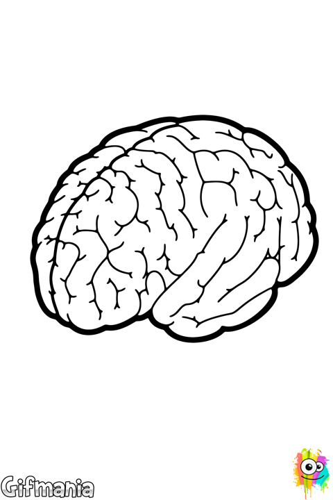 480 X 720 3 - Black And White Brain (480x720), Png Download