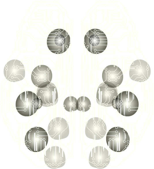 Sciences - Shell (576x646), Png Download