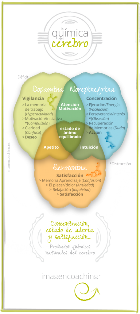 Tu #coach De Imagen Personal - Quimica Del Cerebro (456x1024), Png Download