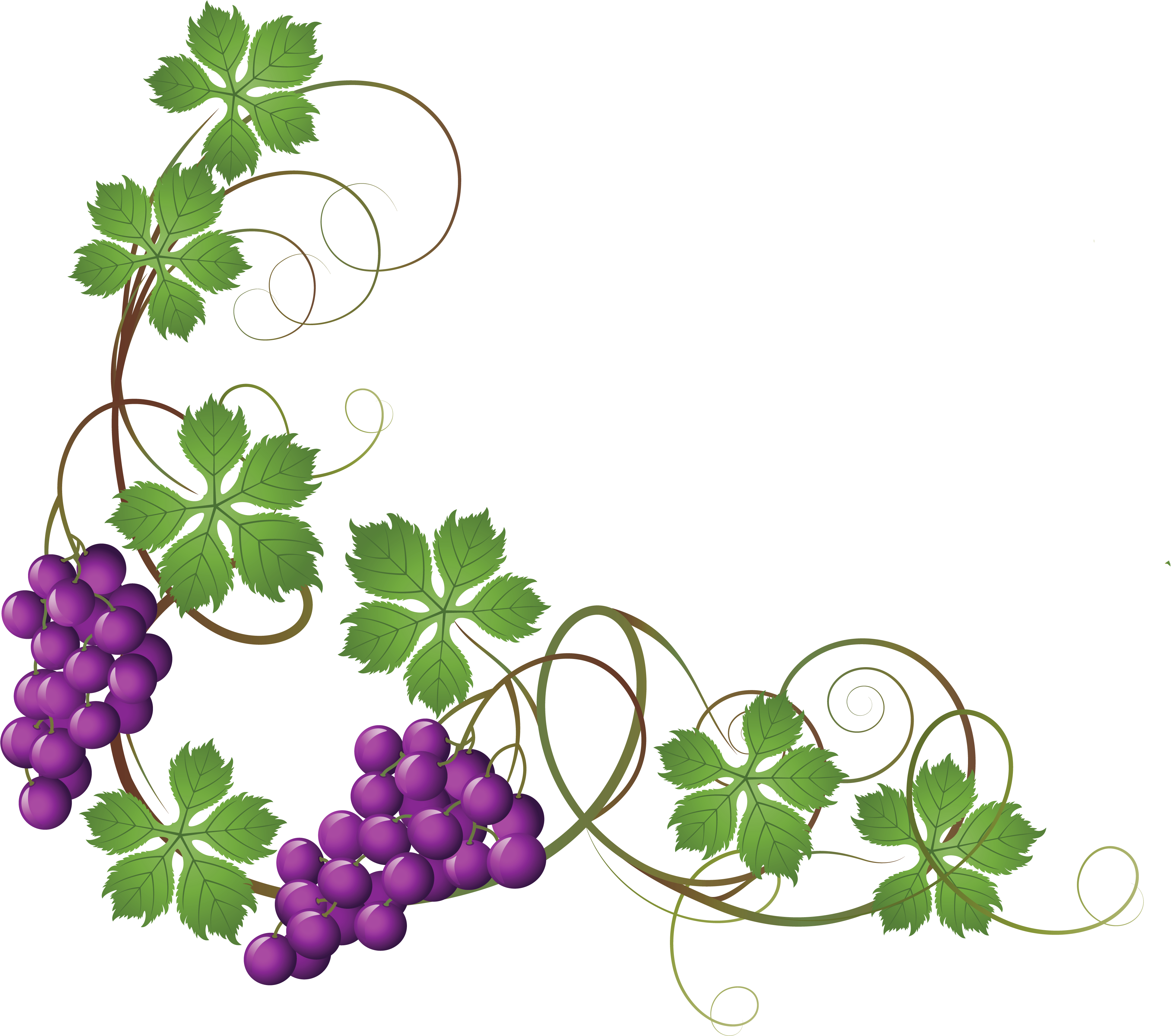 Svg Freeuse Free Grapevine - Uvas De Primera Comunion (4340x3658), Png Download