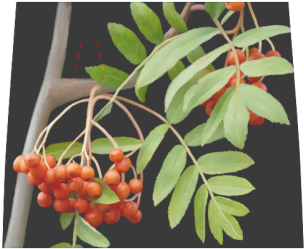 Rowan Tree Watercolor Boston Handbag - Rose Hip (500x500), Png Download