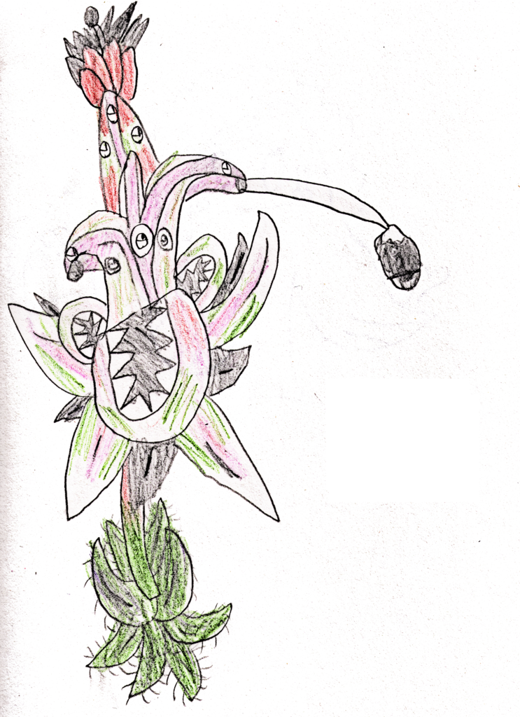 New Characters - Brassia (743x1024), Png Download