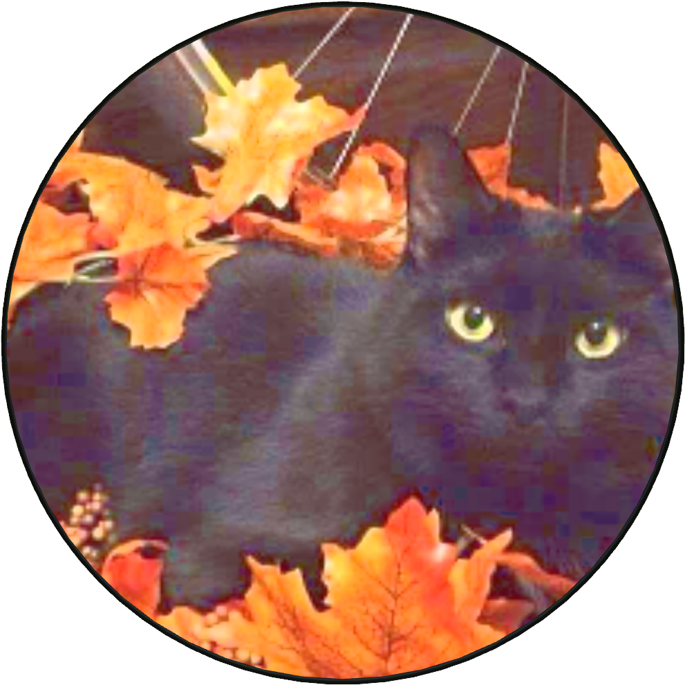 Halloween Cat - Black Cat Autumn (1024x1024), Png Download
