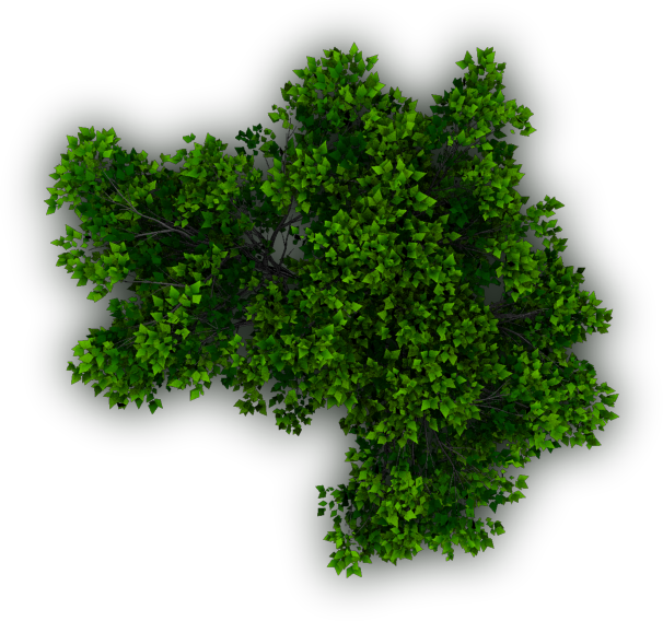 Free Shrub Png Plan View Download - Dundjinni Mapping Software Plants (606x568), Png Download