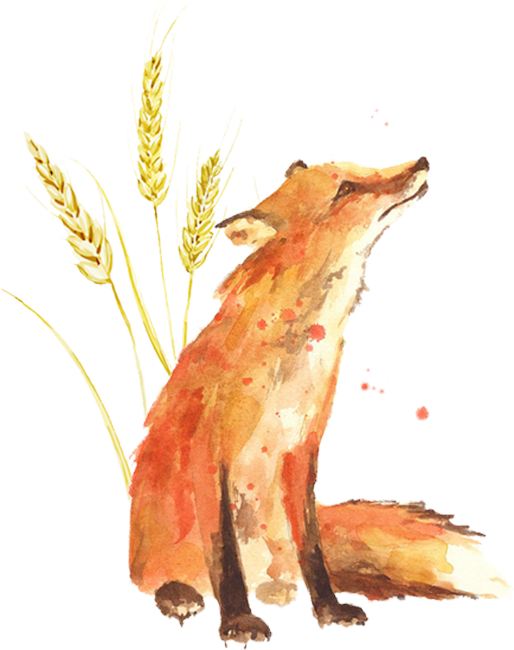 Little Prince Fox Wheat (514x650), Png Download