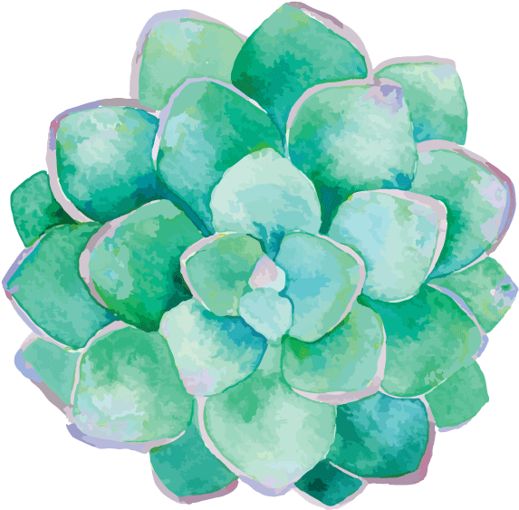 Cultivate Classes Lessons Lehigh - Watercolor Succulent Png (600x600), Png Download