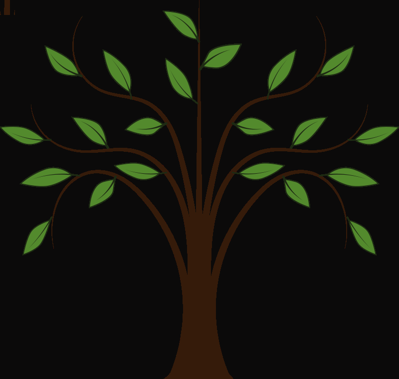 Transparent Tree Clipart Dark Background (800x759), Png Download